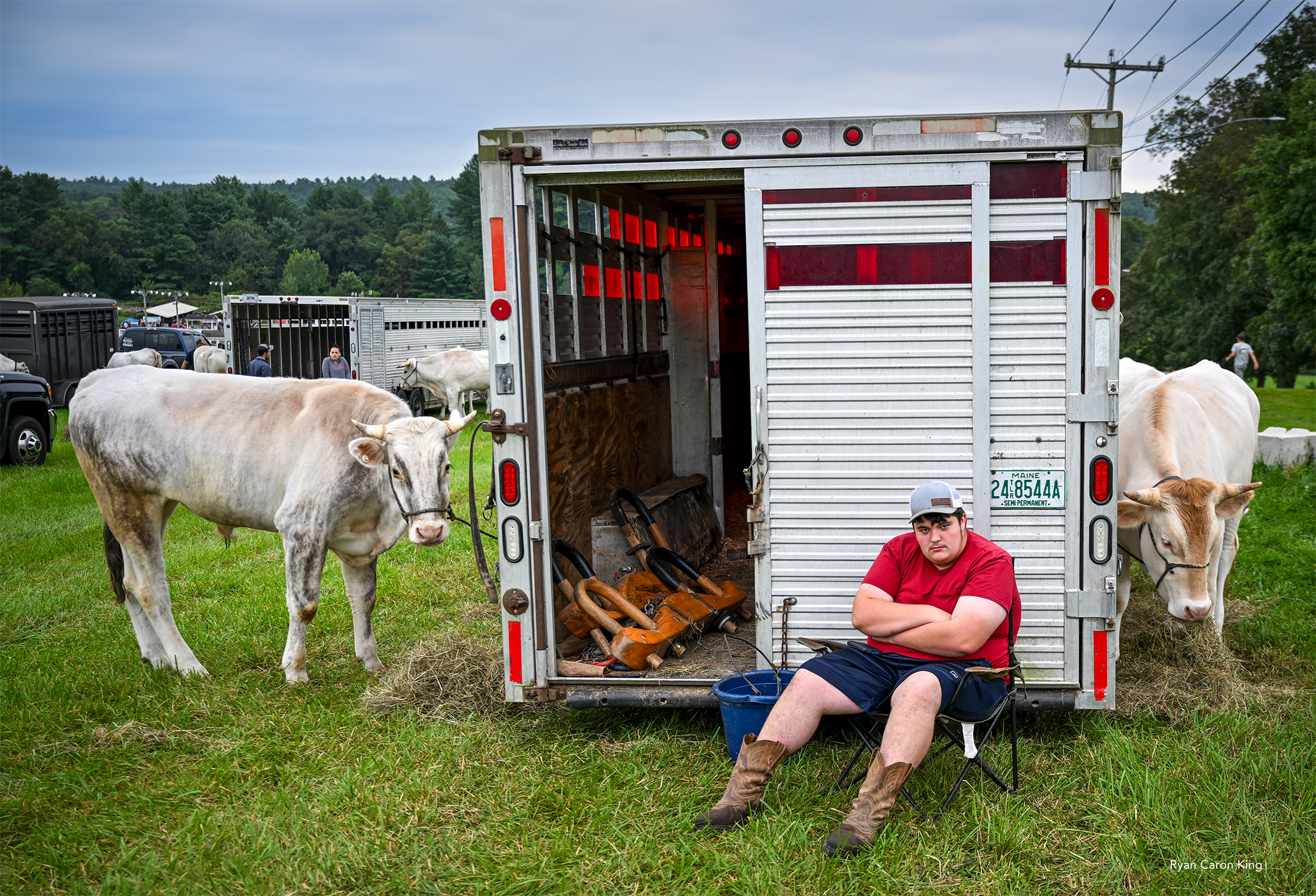 2 Bulls, 1 Teen, 6 Tons